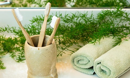 Toothbrushes in holder
